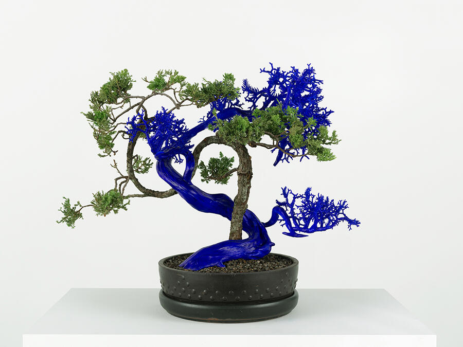 Agnieszka-Kurant-Collective-Intelligence-2025