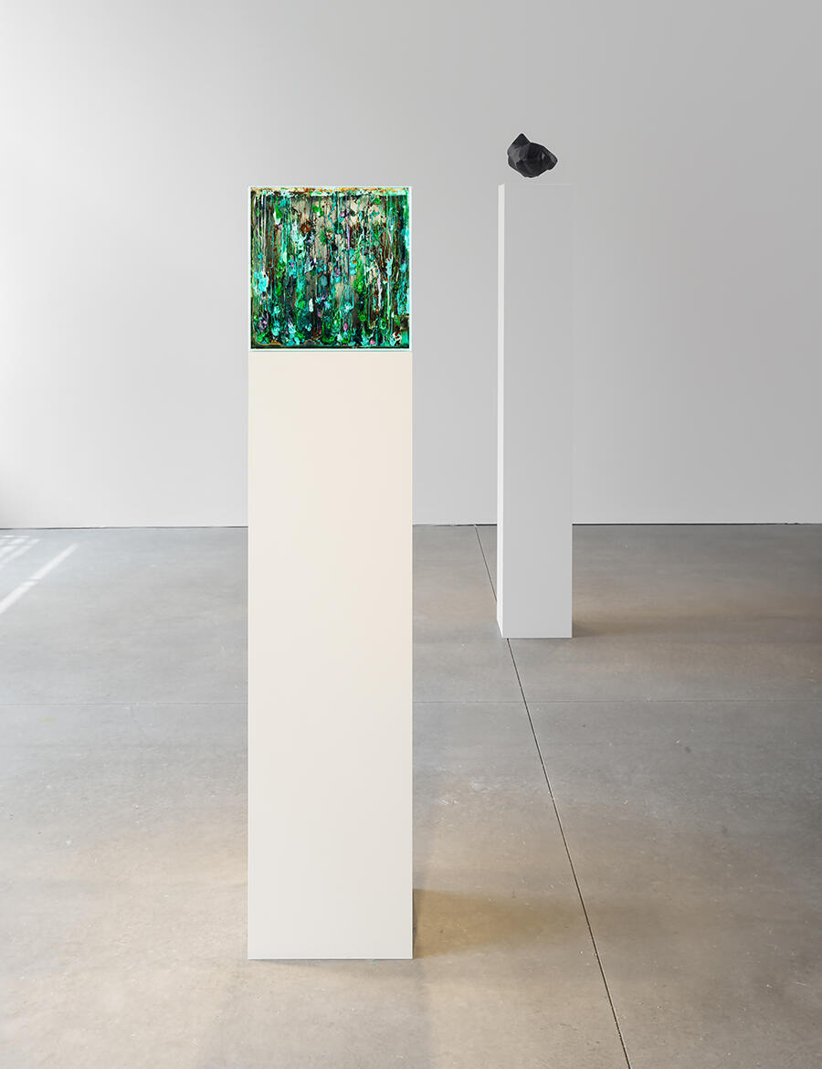 Agnieszka-Kurant-Collective-Intelligence-2025