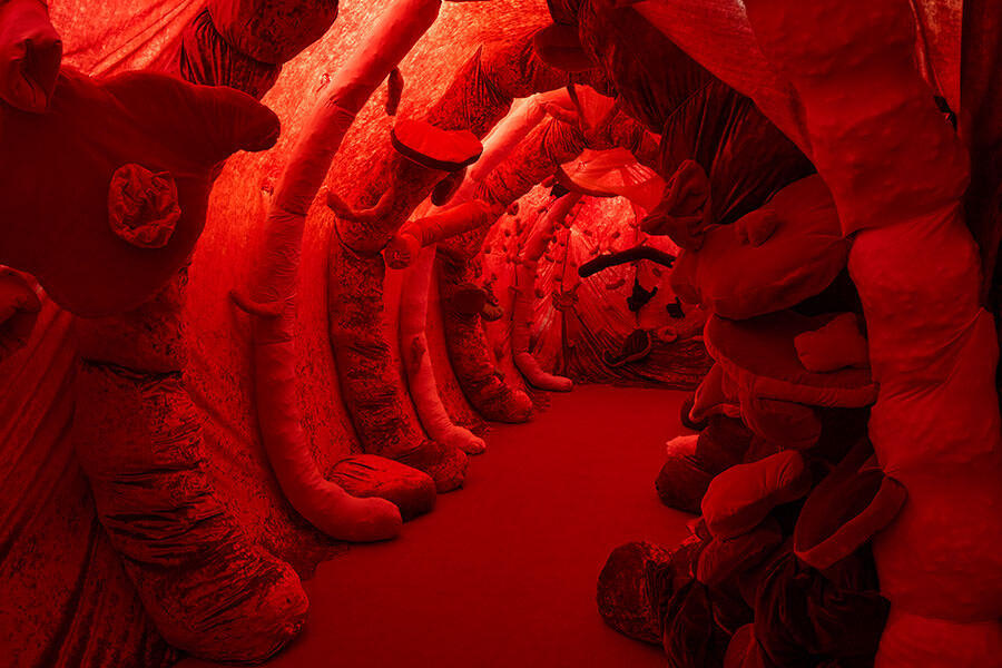 dafna-maimon-indigestibles-2021