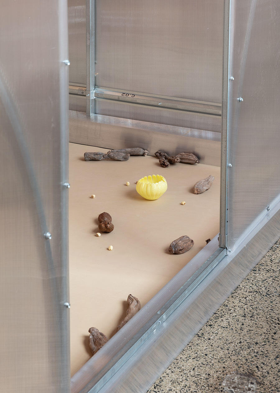 lotus-l-kang-receiver-transmitter-butterfly-installation