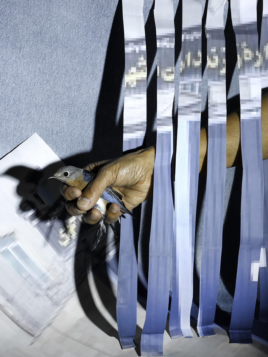 Sheida-Soleimani-Panjereh-2025