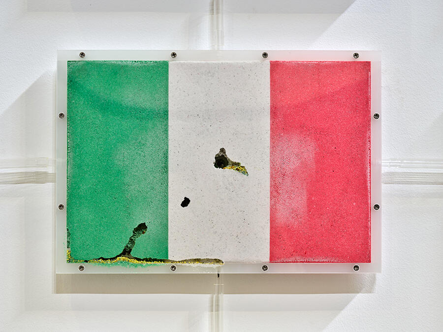 the-world-flag-ant-farm-2025-yukinori-yanagi